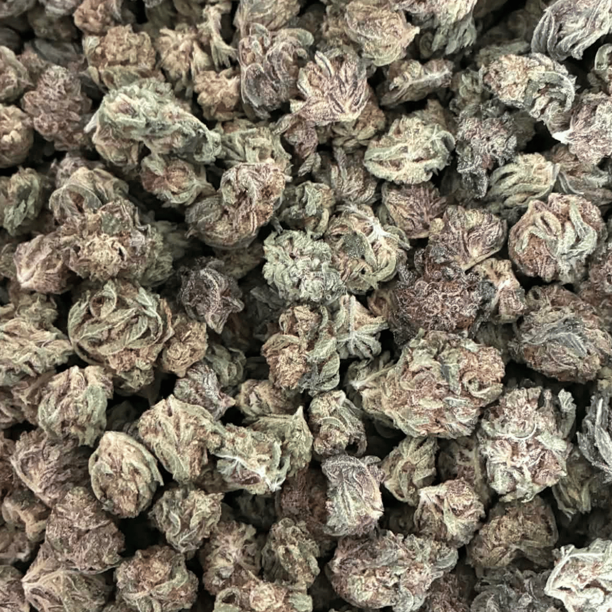 Candy Fuel Indoor THCA Flower
