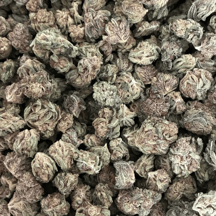 Candy Fuel Indoor THCA Flower