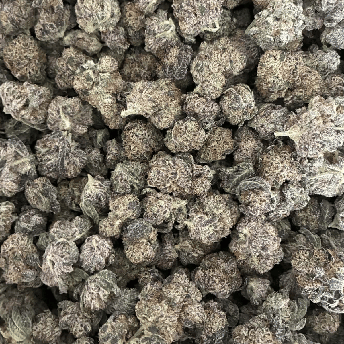 Gushers Indoor THCA Flower