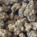 Midnight Phunk Light Dep THCA Flower