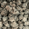 Super Glue Indoor THCA Flower