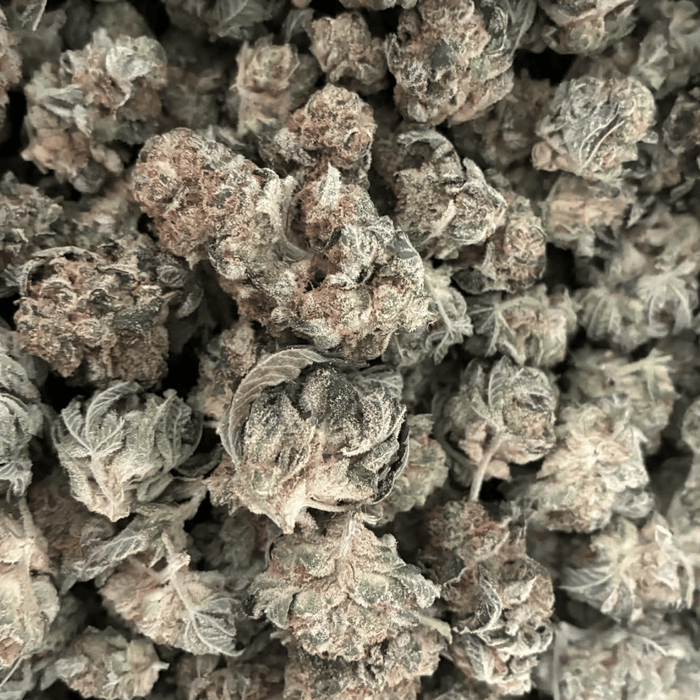 Super Glue Indoor THCA Flower